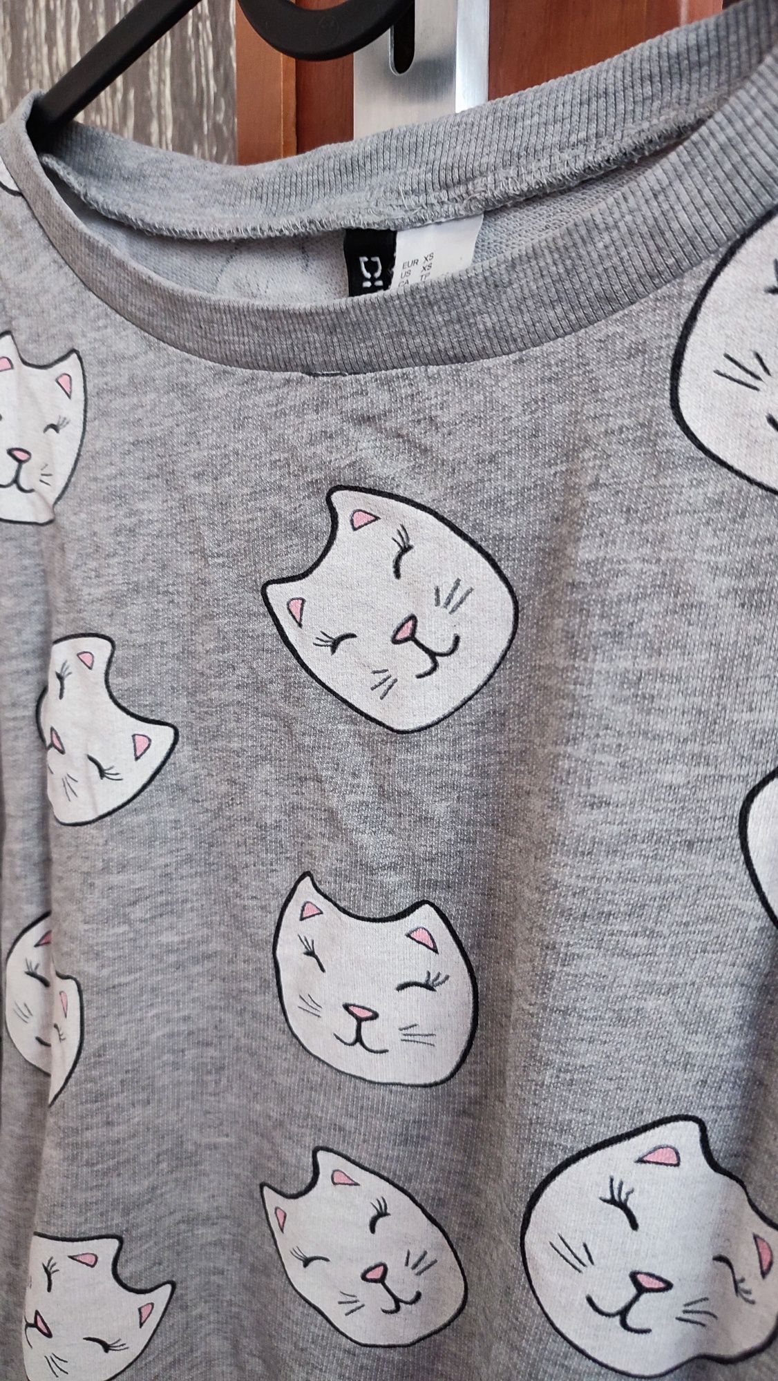 Szara bawełniana bluza H&M XS w koty