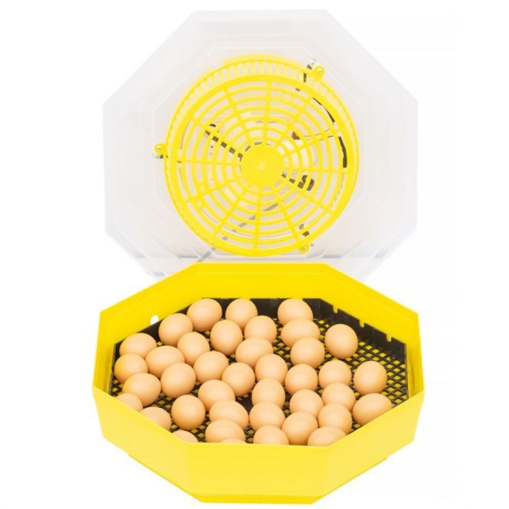 Inkubator do jaj iBator Home 60