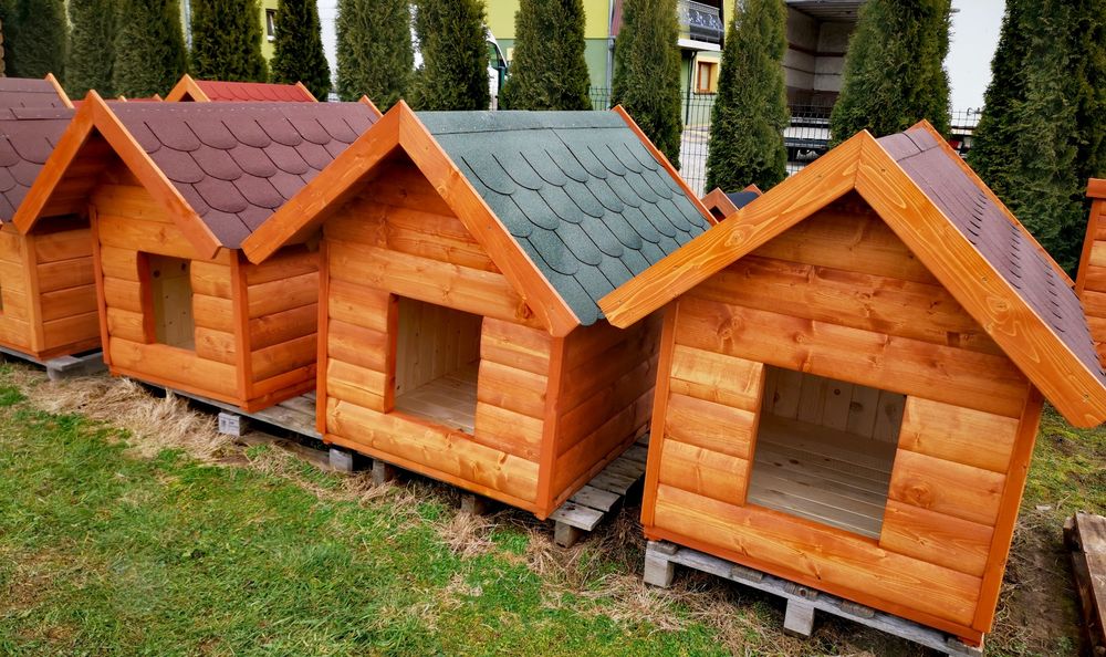 Buda dla psa budki na psa od wooddrew