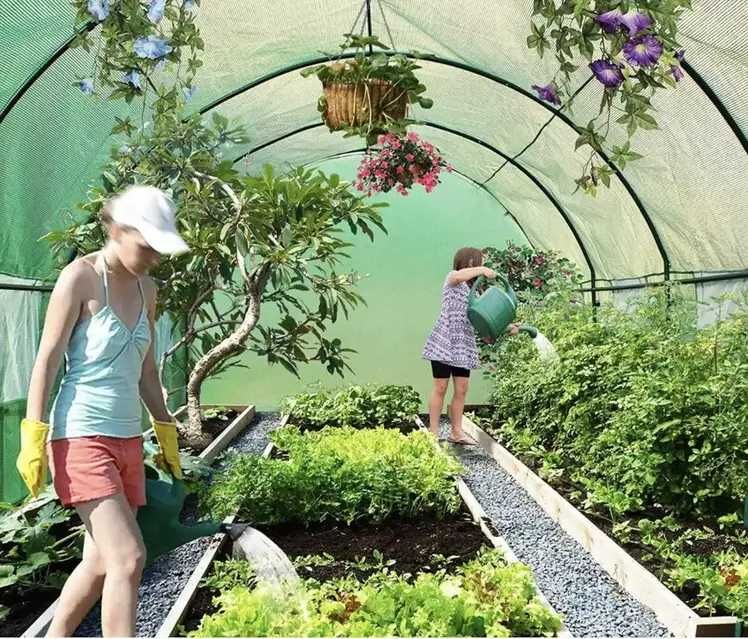 Теплиця посилена городня 6 м2 2х3 м із вікнами