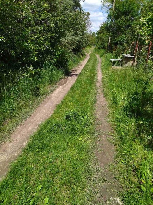 (3) Продам земельну ділянку в с. Сальник 5795