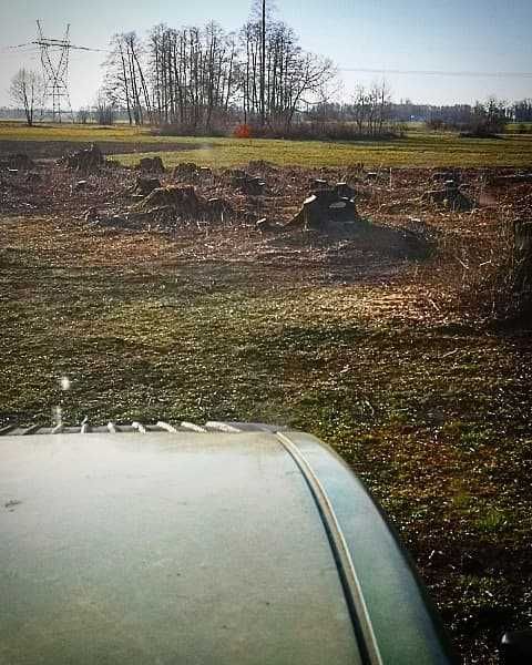 wycinka drzew,skup lasów,gałęzi,zrębki, rekultywacja z lasu pole.