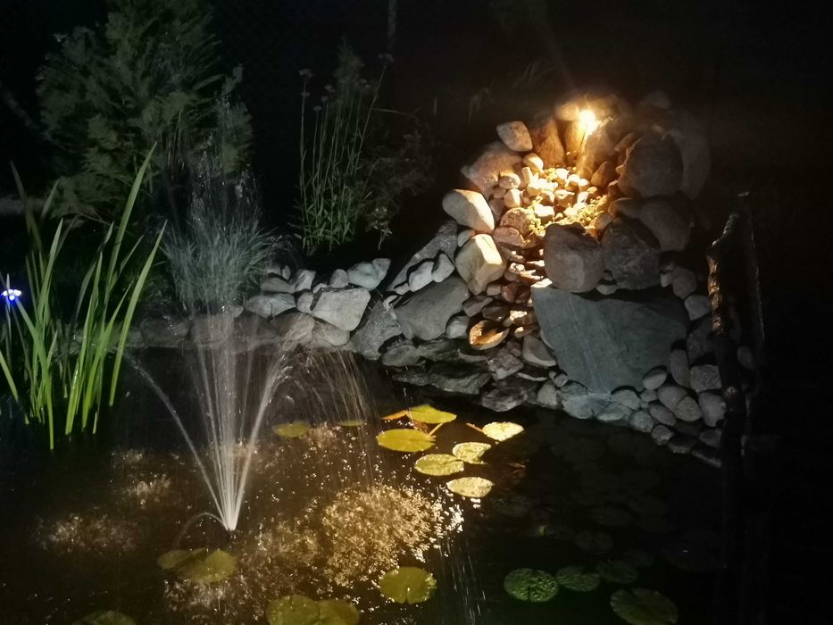 Paulmann lampa Podwodna do oczka ogrodu 12v /240