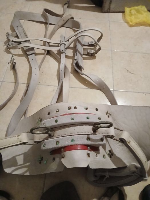 Arreios reforçados para cavalo novos