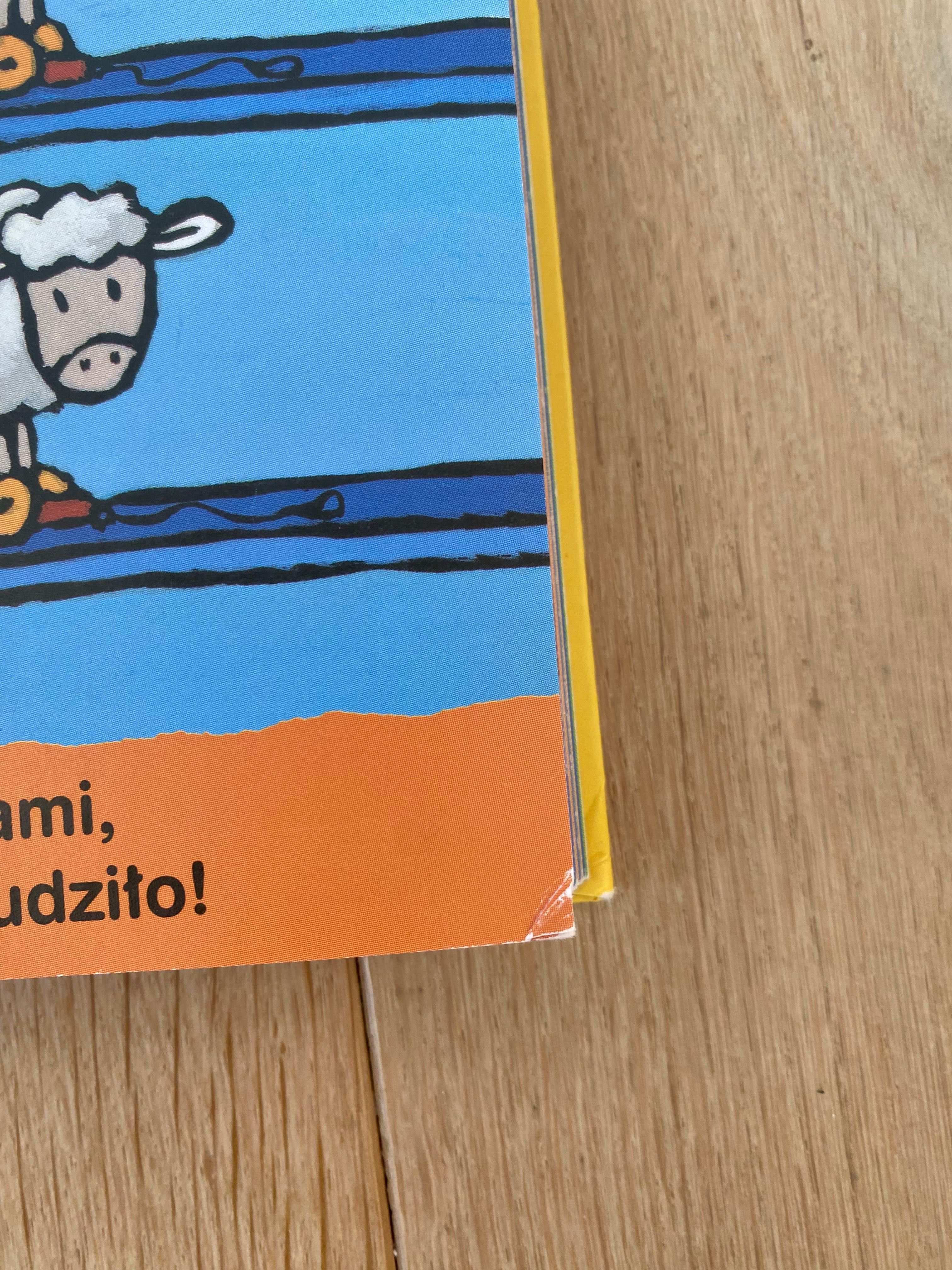 O Grzesiu chłopczyku który nie przestawał zadawać pytań pytania dzieci