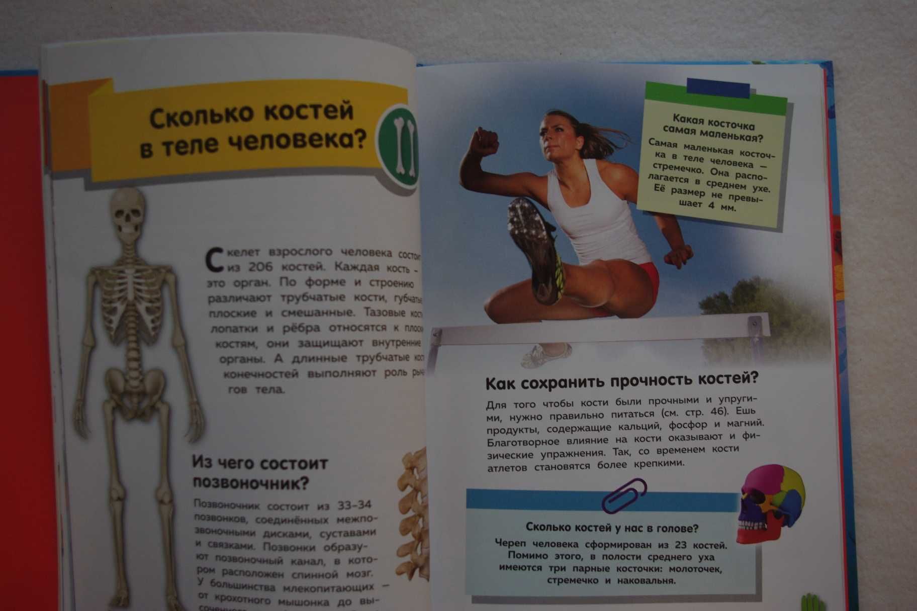 Путеводитель по телу человека. Вопросы и ответы