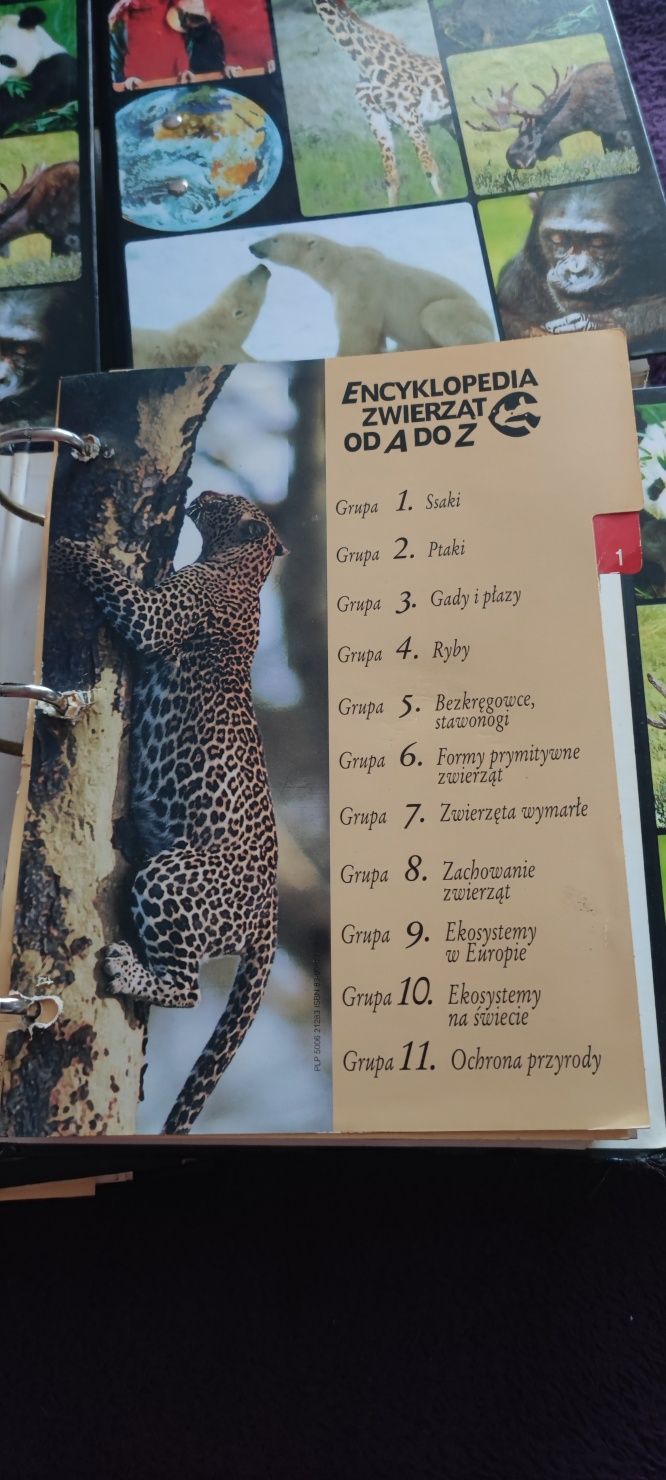 Encyklopedia zwierząt od A do Z