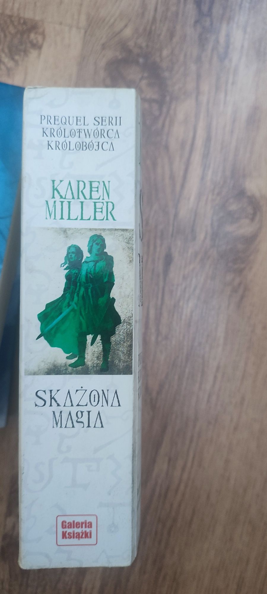 Karen Miller Skażona Magia