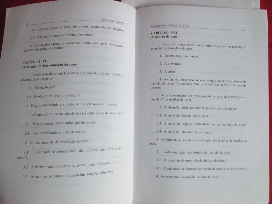Consequências Jurídicas do Crime, de Maria João Antunes