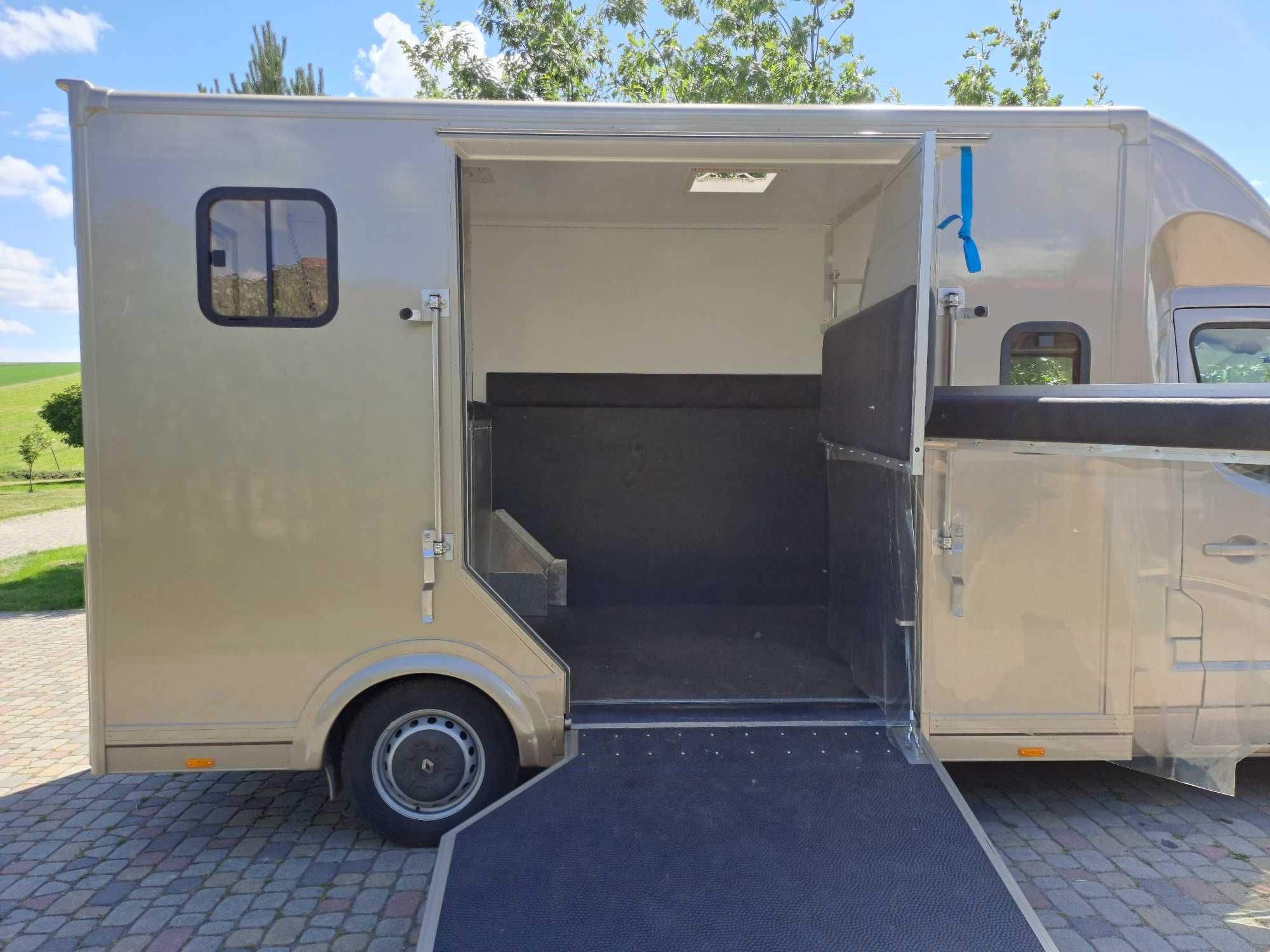 Renault Master nowa zabudowa - koniowóz - gwarancja