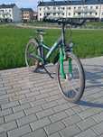 Rower Pegasus Avanti
