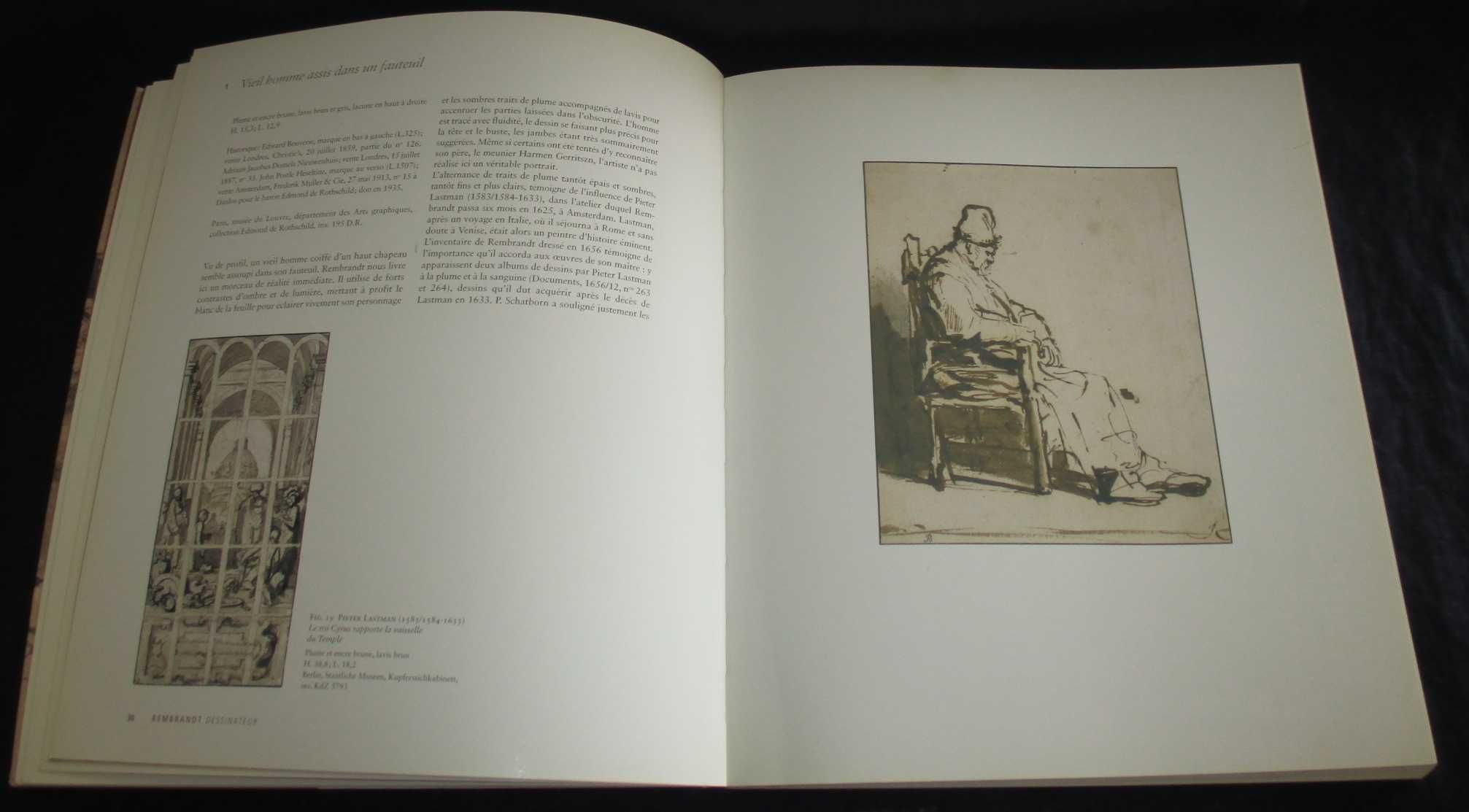 Livro Rembrandt dessinateur Museé du Louvre Éditions