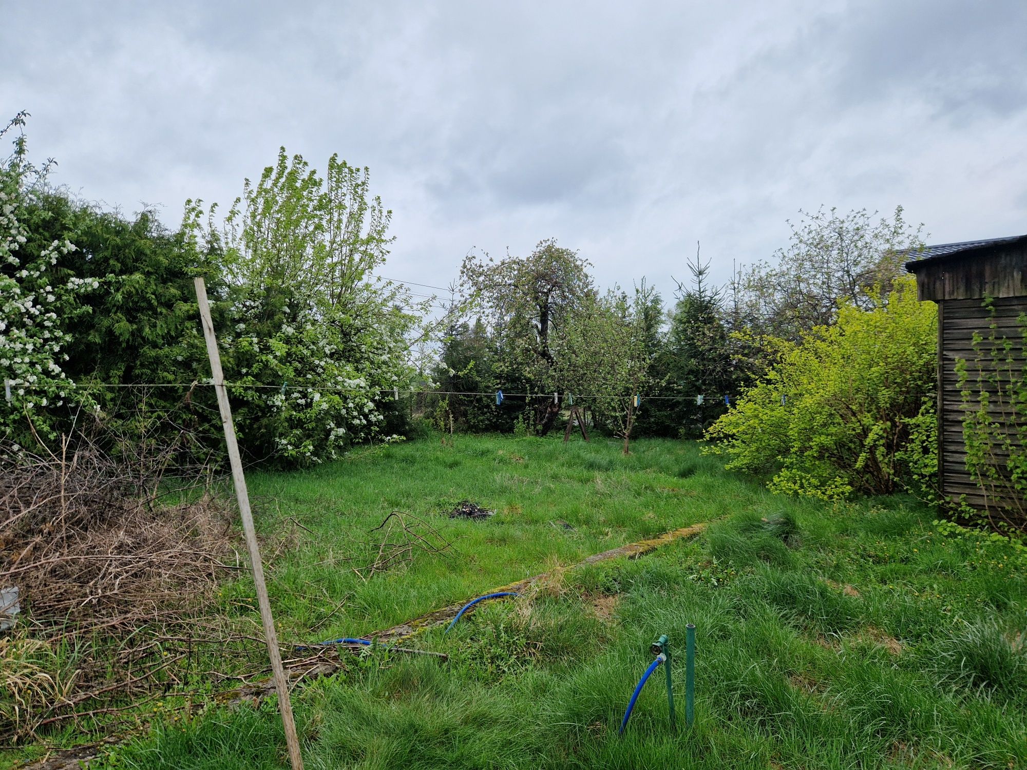 Wolnostojacy dom 114m² z dużym ogrodem 994m² na sprzedaż