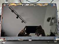 Matryca asus lenovo thinkpad x13 dell  13.3 fhd Sharp LQ133M1JX36 ips