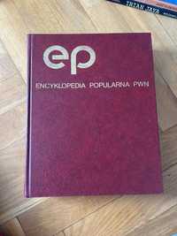 Encyklopedia popularna pwn książka