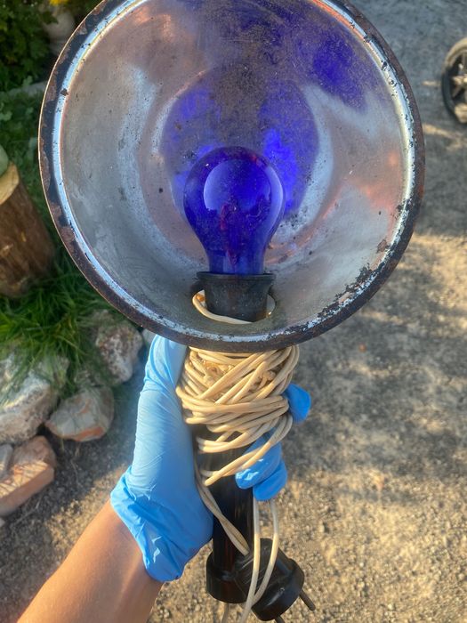 Ультрафиолетовая лампа