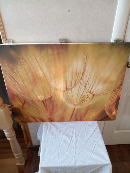 Картина друк на холсті 80х60 см