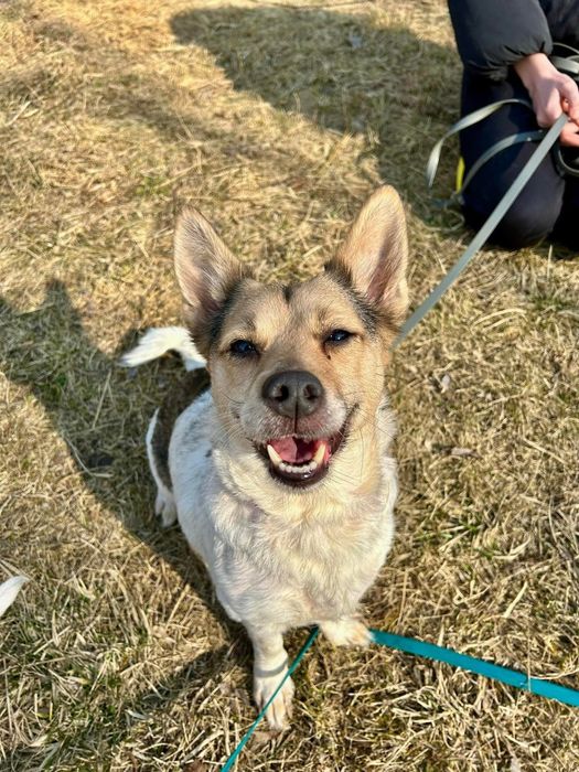 Urocza Tosia czeka na Ciebie