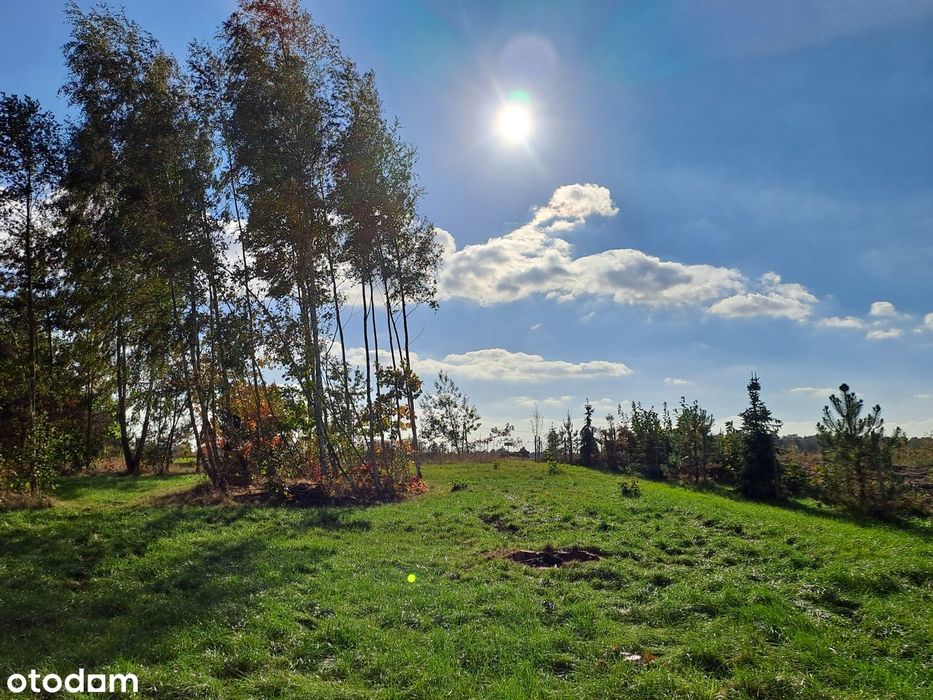 uroczy domek całoroczny dzialka budowlana z lasem, 25min do CPK