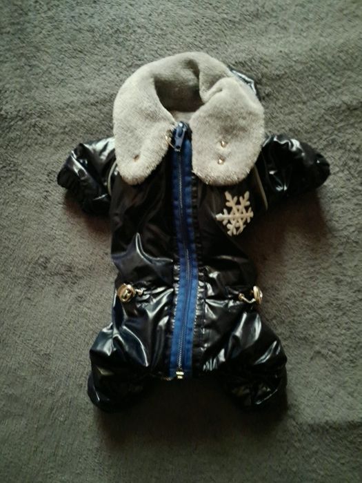 Одежда для маленьких собак.