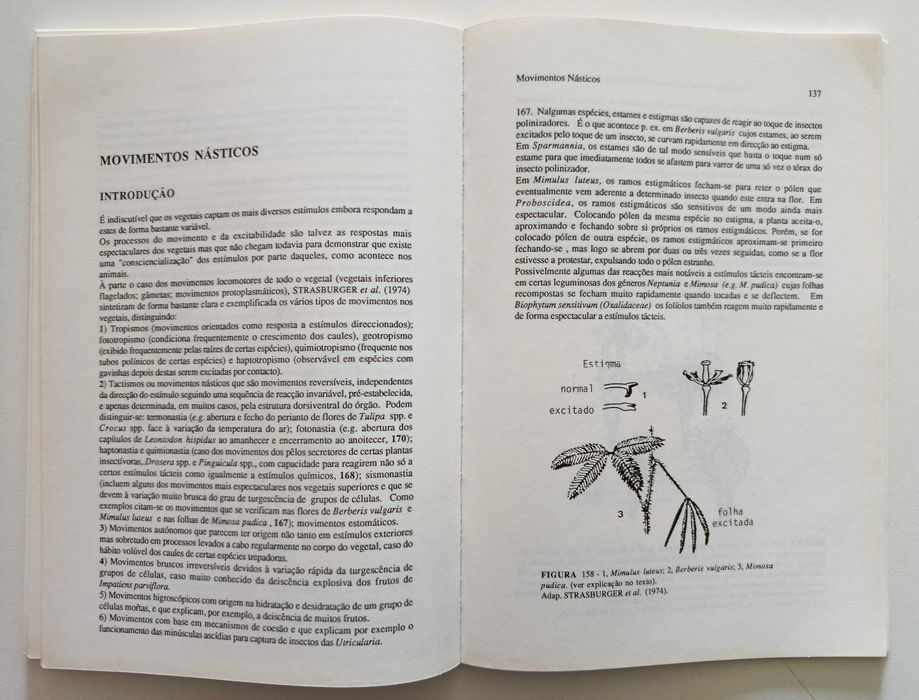 Aspectos poucos comuns da Morfologia das Plantas Superiores