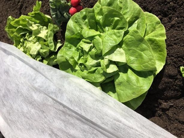 Agrowłóknina biała i czarna