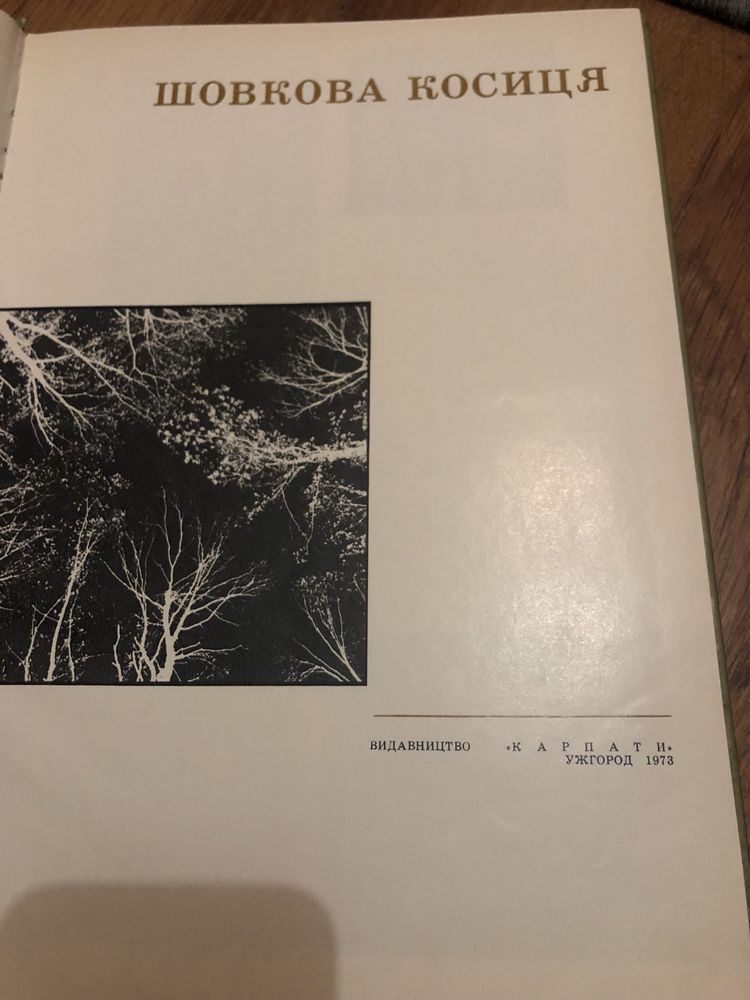 Книга  Шовкова косиця