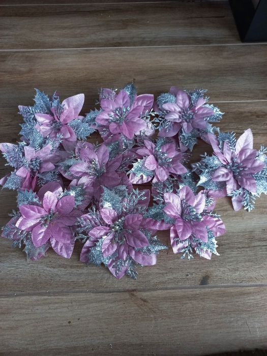 10 sztuk Gwiazdy betlejemskie