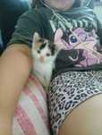 Puszyste maluchy