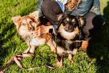 Dorka i Balbinka do adopcji