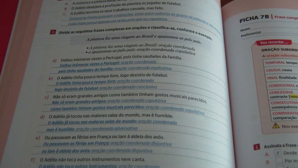 Conjunto completo do professor PT8 Areal Editores
