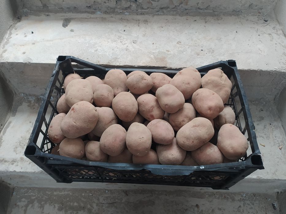 Продам дуже гарна