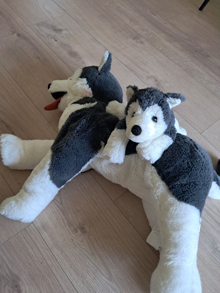 Livlig pies pluszak Ikea
Pluszak, pies/siberian husky