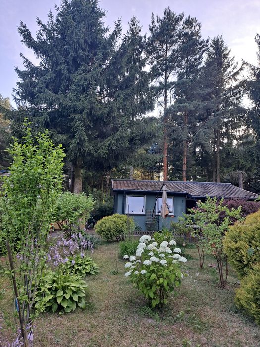.Okazja.Sprzedam działkę Rod w oazie ciszy i zieleni.