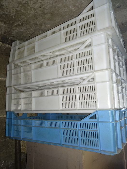 Kosze plastikowe Skrzynki plastikowe