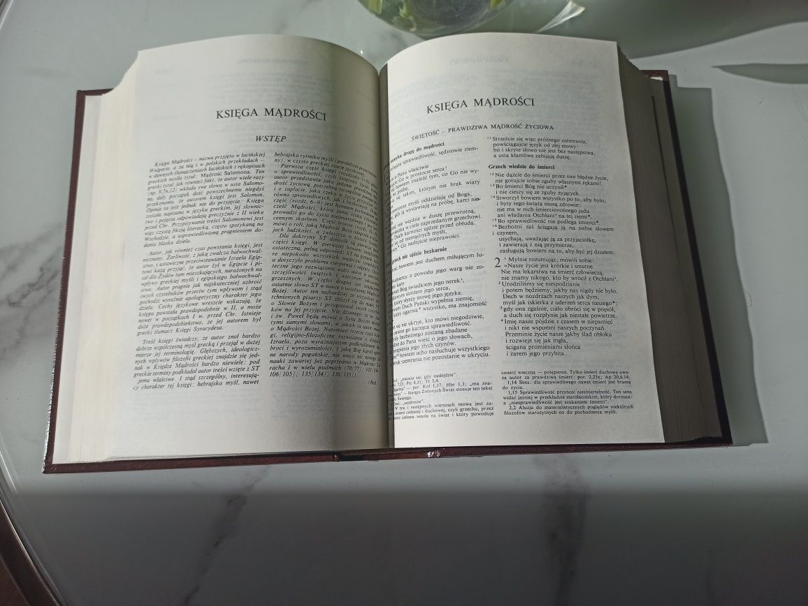 Pismo Święte Starego i Nowego Testamentu