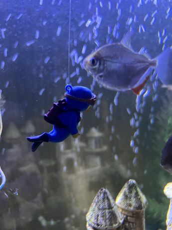 Декор в аквариум: плавающий дайвер/ искуственные водоросли