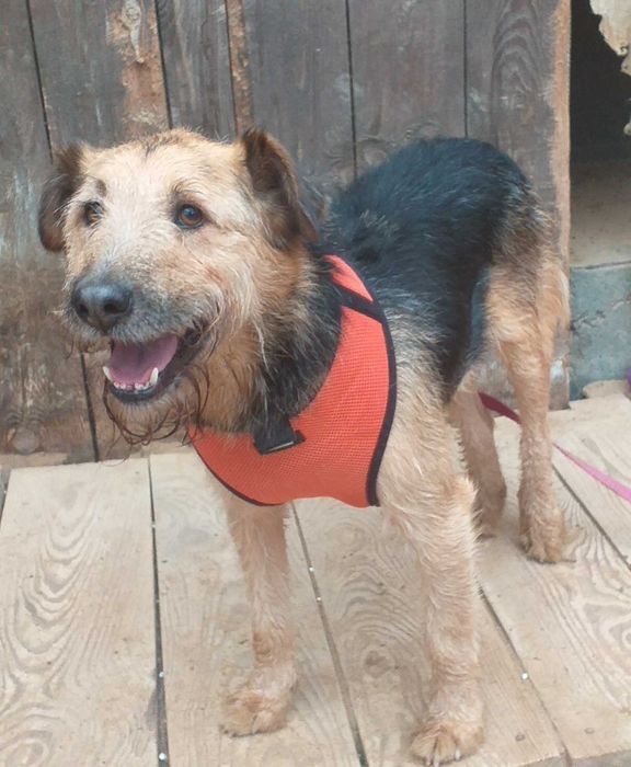 Terry czeka na szansę od życia, na własną rodzinę