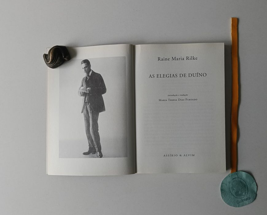 As elegias de Duíno, Rainer Maria Rilke