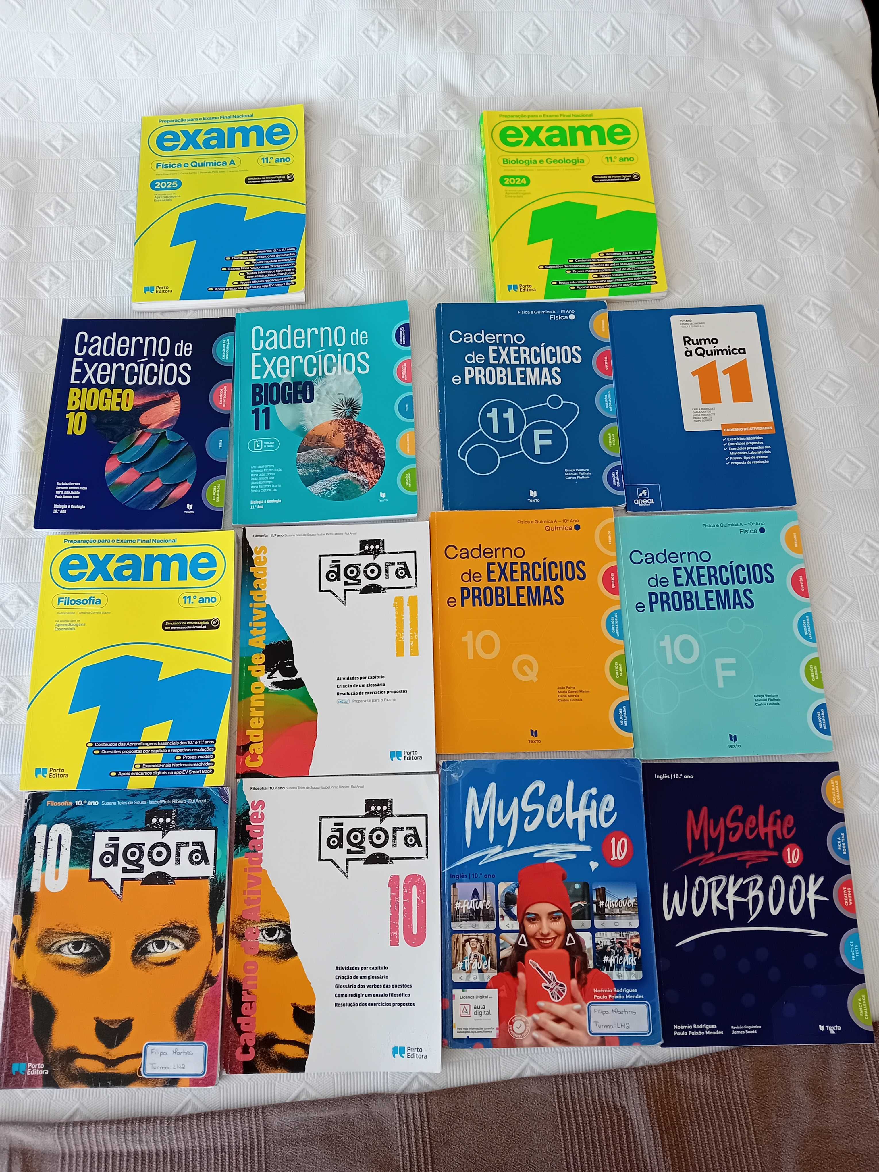 Manuais e livros de fichas 10° e 11° ano