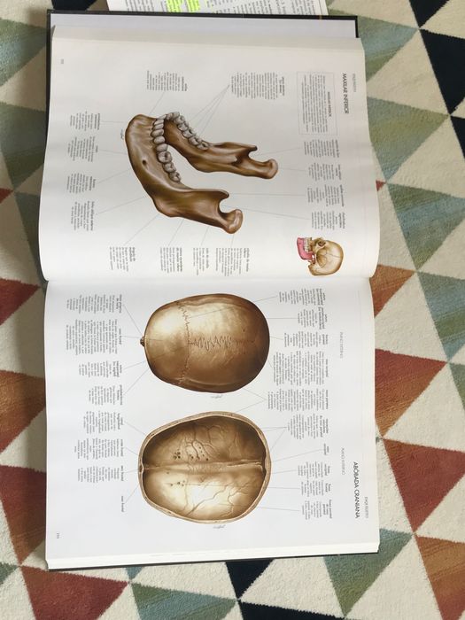 Grande Atlas do Corpo Humano