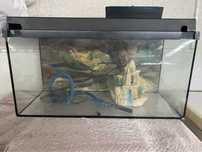 Aquario grande com acessorios