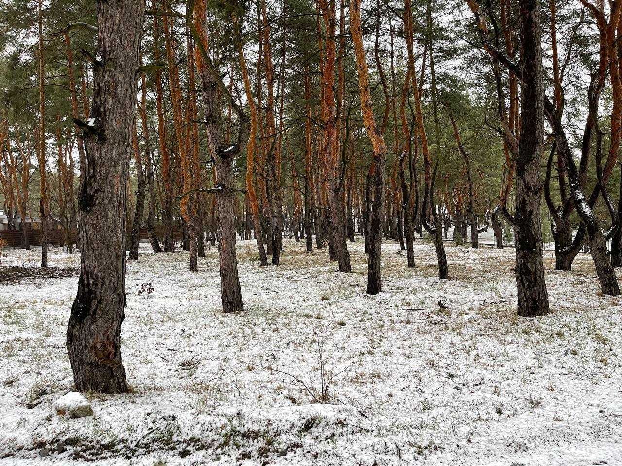 Продам участок в Кировском (Обуховка), "Сосновый берег", Лес и река