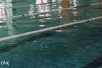Nauka i Doskonalenie Pływania Trener Bielsko-Biała Pływalnia Aqua