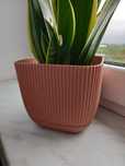 Donica oslonka pudrowy roz 2 szt