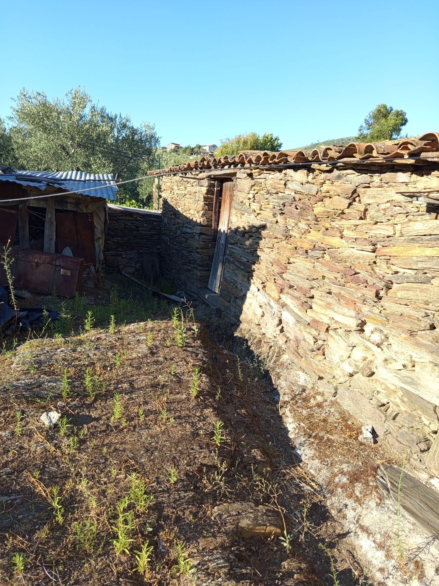 Casas para venda em sequeiros Moncorvo