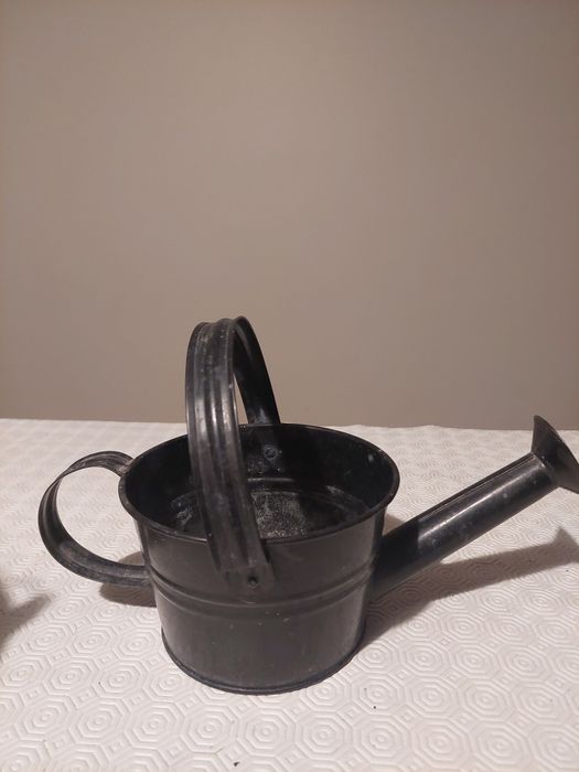 Balde e Regador Decorativo