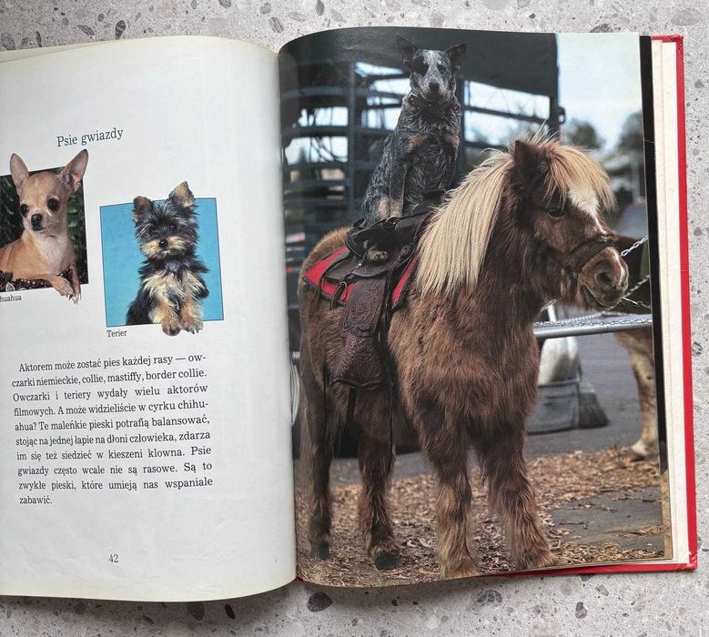 Psy Dziecięca Biblioteka Przyrody Album ilustrowany