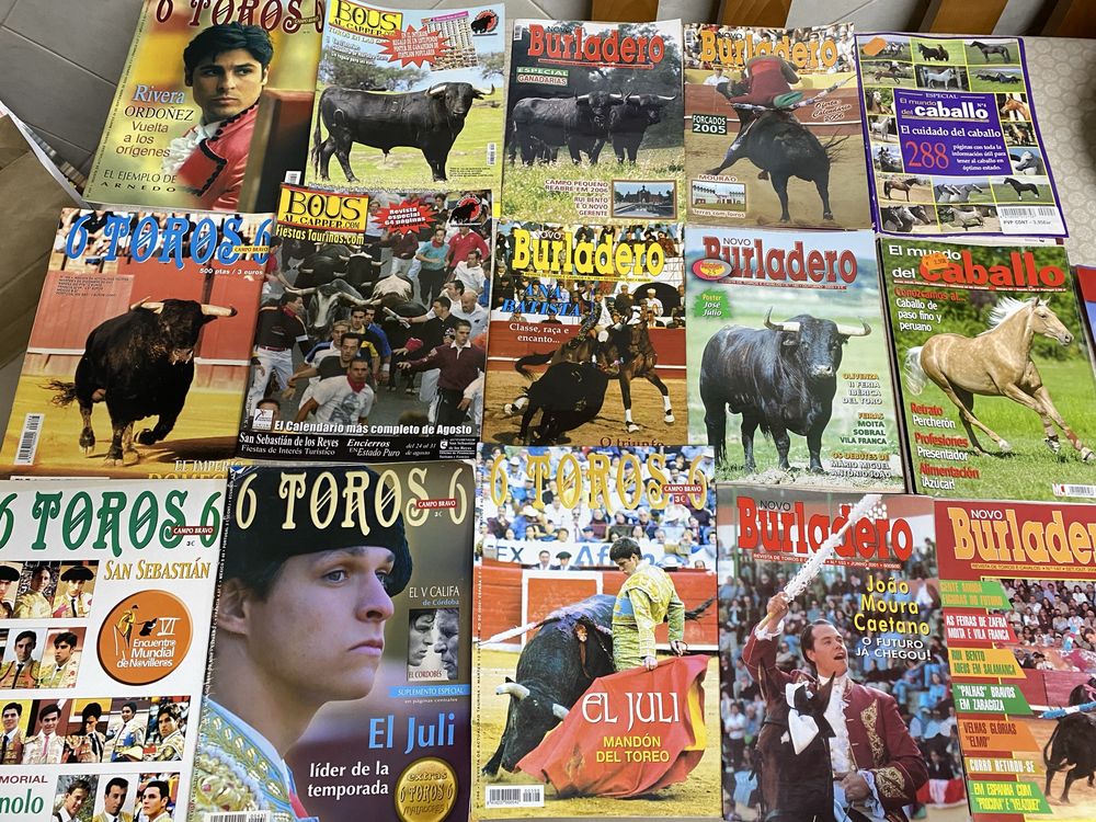 Revista burladero e 6 toros