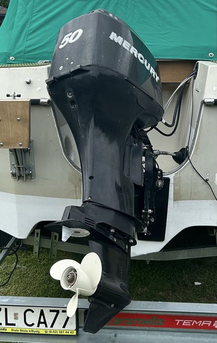 Mercury 50 EFI 2006